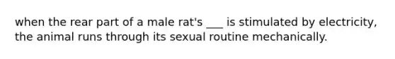 when the rear part of a male rat's ___ is stimulated by electricity, the animal runs through its sexual routine mechanically.