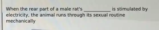 When the rear part of a male rat's ____________ is stimulated by electricity, the animal runs through its sexual routine mechanically