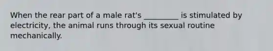 When the rear part of a male rat's _________ is stimulated by electricity, the animal runs through its sexual routine mechanically.