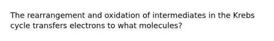 The rearrangement and oxidation of intermediates in the Krebs cycle transfers electrons to what molecules?