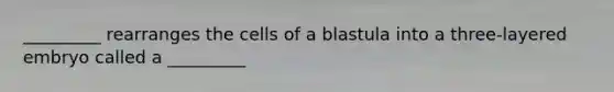 _________ rearranges the cells of a blastula into a three-layered embryo called a _________