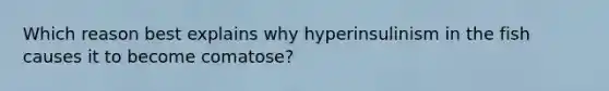 Which reason best explains why hyperinsulinism in the fish causes it to become comatose?