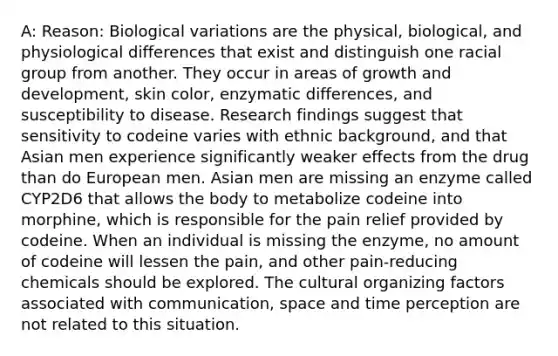 A: Reason: Biological variations are the physical, biological, and physiological differences that exist and distinguish one racial group from another. They occur in areas of <a href='https://www.questionai.com/knowledge/kde2iCObwW-growth-and-development' class='anchor-knowledge'>growth and development</a>, skin color, enzymatic differences, and susceptibility to disease. Research findings suggest that sensitivity to codeine varies with ethnic background, and that Asian men experience significantly weaker effects from the drug than do European men. Asian men are missing an enzyme called CYP2D6 that allows the body to metabolize codeine into morphine, which is responsible for the pain relief provided by codeine. When an individual is missing the enzyme, no amount of codeine will lessen the pain, and other pain-reducing chemicals should be explored. The cultural organizing factors associated with communication, space and time perception are not related to this situation.