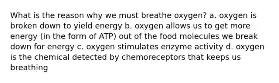 What is the reason why we must breathe oxygen? a. oxygen is broken down to yield energy b. oxygen allows us to get more energy (in the form of ATP) out of the food molecules we break down for energy c. oxygen stimulates enzyme activity d. oxygen is the chemical detected by chemoreceptors that keeps us breathing