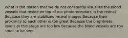 What is the reason that we do not constantly visualize the blood vessels that reside on top of our photoreceptors in the retina? Because they are stabilized retinal images Because their proximity to each other is too great Because the brightness levels at this stage are too low Because the blood vessels are too small to be seen