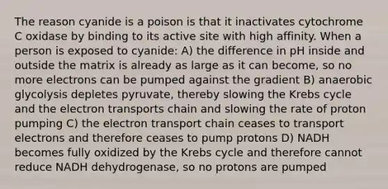 The reason cyanide is a poison is that it inactivates cytochrome C oxidase by binding to its active site with high affinity. When a person is exposed to cyanide: A) the difference in pH inside and outside the matrix is already as large as it can become, so no more electrons can be pumped against the gradient B) anaerobic glycolysis depletes pyruvate, thereby slowing the Krebs cycle and the electron transports chain and slowing the rate of proton pumping C) the electron transport chain ceases to transport electrons and therefore ceases to pump protons D) NADH becomes fully oxidized by the Krebs cycle and therefore cannot reduce NADH dehydrogenase, so no protons are pumped