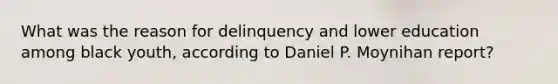 What was the reason for delinquency and lower education among black youth, according to Daniel P. Moynihan report?