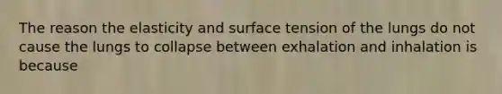 The reason the elasticity and surface tension of the lungs do not cause the lungs to collapse between exhalation and inhalation is because