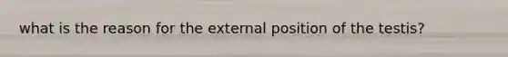 what is the reason for the external position of the testis?