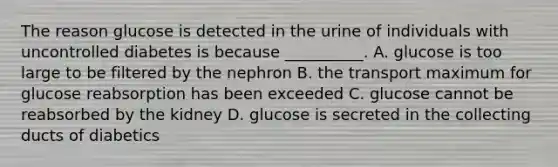 The reason glucose is detected in the urine of individuals with uncontrolled diabetes is because __________. A. glucose is too large to be filtered by the nephron B. the transport maximum for glucose reabsorption has been exceeded C. glucose cannot be reabsorbed by the kidney D. glucose is secreted in the collecting ducts of diabetics