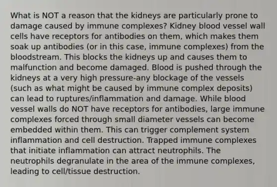 What is NOT a reason that the kidneys are particularly prone to damage caused by immune complexes? Kidney blood vessel wall cells have receptors for antibodies on them, which makes them soak up antibodies (or in this case, immune complexes) from the bloodstream. This blocks the kidneys up and causes them to malfunction and become damaged. Blood is pushed through the kidneys at a very high pressure-any blockage of the vessels (such as what might be caused by immune complex deposits) can lead to ruptures/inflammation and damage. While blood vessel walls do NOT have receptors for antibodies, large immune complexes forced through small diameter vessels can become embedded within them. This can trigger complement system inflammation and cell destruction. Trapped immune complexes that initiate inflammation can attract neutrophils. The neutrophils degranulate in the area of the immune complexes, leading to cell/tissue destruction.