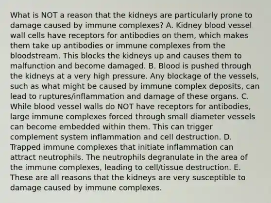 What is NOT a reason that the kidneys are particularly prone to damage caused by immune complexes? A. Kidney blood vessel wall cells have receptors for antibodies on them, which makes them take up antibodies or immune complexes from the bloodstream. This blocks the kidneys up and causes them to malfunction and become damaged. B. Blood is pushed through the kidneys at a very high pressure. Any blockage of the vessels, such as what might be caused by immune complex deposits, can lead to ruptures/inflammation and damage of these organs. C. While blood vessel walls do NOT have receptors for antibodies, large immune complexes forced through small diameter vessels can become embedded within them. This can trigger complement system inflammation and cell destruction. D. Trapped immune complexes that initiate inflammation can attract neutrophils. The neutrophils degranulate in the area of the immune complexes, leading to cell/tissue destruction. E. These are all reasons that the kidneys are very susceptible to damage caused by immune complexes.