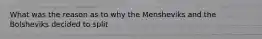 What was the reason as to why the Mensheviks and the Bolsheviks decided to split