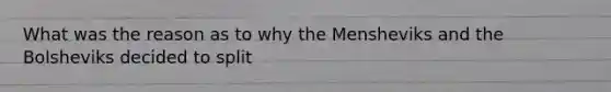 What was the reason as to why the Mensheviks and the Bolsheviks decided to split