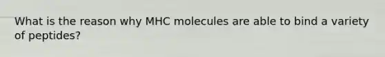 What is the reason why MHC molecules are able to bind a variety of peptides?