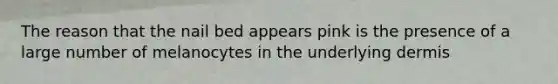 The reason that the nail bed appears pink is the presence of a large number of melanocytes in the underlying dermis