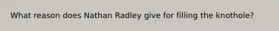 What reason does Nathan Radley give for filling the knothole?