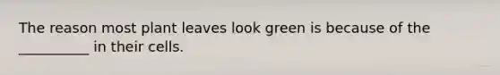 The reason most plant leaves look green is because of the __________ in their cells.