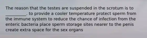 The reason that the testes are suspended in the scrotum is to __________. to provide a cooler temperature protect sperm from the immune system to reduce the chance of infection from the enteric bacteria place sperm storage sites nearer to the penis create extra space for the sex organs