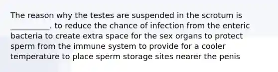 The reason why the testes are suspended in the scrotum is __________. to reduce the chance of infection from the enteric bacteria to create extra space for the sex organs to protect sperm from the immune system to provide for a cooler temperature to place sperm storage sites nearer the penis