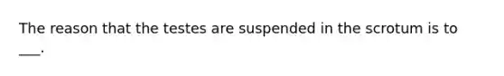 The reason that the testes are suspended in the scrotum is to ___.