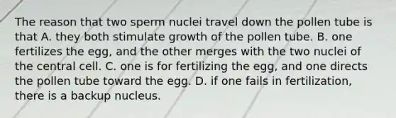 The reason that two sperm nuclei travel down the pollen tube is that A. they both stimulate growth of the pollen tube. B. one fertilizes the egg, and the other merges with the two nuclei of the central cell. C. one is for fertilizing the egg, and one directs the pollen tube toward the egg. D. if one fails in fertilization, there is a backup nucleus.