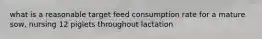 what is a reasonable target feed consumption rate for a mature sow, nursing 12 piglets throughout lactation