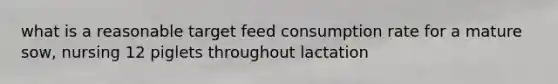 what is a reasonable target feed consumption rate for a mature sow, nursing 12 piglets throughout lactation