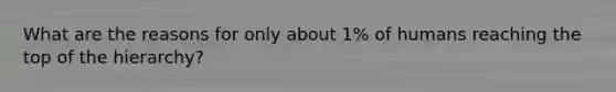 What are the reasons for only about 1% of humans reaching the top of the hierarchy?