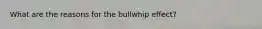 What are the reasons for the bullwhip effect?