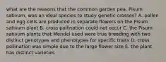 what are the reasons that the common garden pea, Pisum sativum, was an ideal species to study genetic crosses? A. pollen and egg cells are produced in separate flowers on the Pisum sativum plant B. cross pollination could not occur C. the Pisum sativum plants that Mendel used were true breeding with two distinct genotypes and phenotypes for specific traits D. cross pollination was simple due to the large flower size E. the plant has distinct varieties