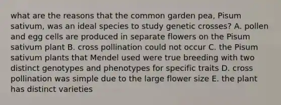 what are the reasons that the common garden pea, Pisum sativum, was an ideal species to study genetic crosses? A. pollen and egg cells are produced in separate flowers on the Pisum sativum plant B. cross pollination could not occur C. the Pisum sativum plants that Mendel used were true breeding with two distinct genotypes and phenotypes for specific traits D. cross pollination was simple due to the large flower size E. the plant has distinct varieties