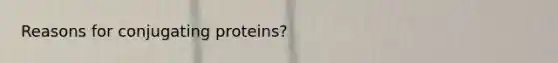 Reasons for conjugating proteins?