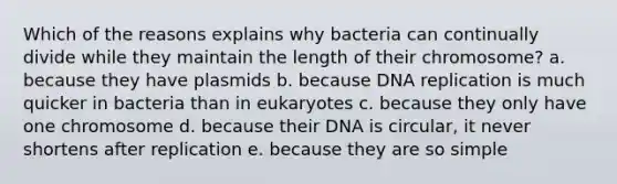 Which of the reasons explains why bacteria can continually divide while they maintain the length of their chromosome? a. because they have plasmids b. because DNA replication is much quicker in bacteria than in eukaryotes c. because they only have one chromosome d. because their DNA is circular, it never shortens after replication e. because they are so simple