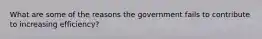 What are some of the reasons the government fails to contribute to increasing efficiency?