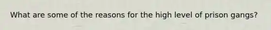 What are some of the reasons for the high level of prison gangs?