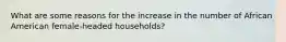 What are some reasons for the increase in the number of African American female-headed households?