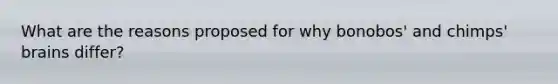 What are the reasons proposed for why bonobos' and chimps' brains differ?