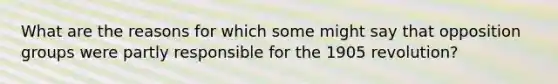 What are the reasons for which some might say that opposition groups were partly responsible for the 1905 revolution?