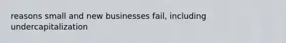 reasons small and new businesses fail, including undercapitalization