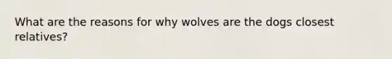 What are the reasons for why wolves are the dogs closest relatives?