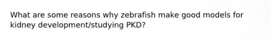 What are some reasons why zebrafish make good models for kidney development/studying PKD?