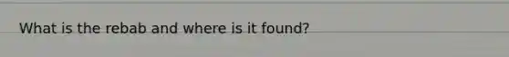 What is the rebab and where is it found?