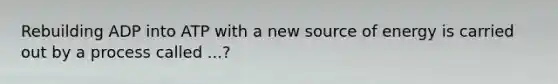 Rebuilding ADP into ATP with a new source of energy is carried out by a process called ...?