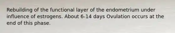 Rebuilding of the functional layer of the endometrium under influence of estrogens. About 6-14 days Ovulation occurs at the end of this phase.