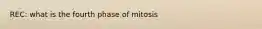 REC: what is the fourth phase of mitosis