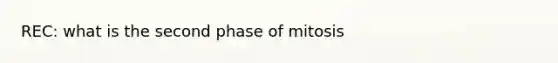 REC: what is the second phase of mitosis