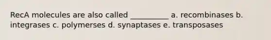 RecA molecules are also called __________ a. recombinases b. integrases c. polymerses d. synaptases e. transposases