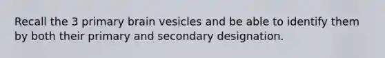 Recall the 3 primary brain vesicles and be able to identify them by both their primary and secondary designation.