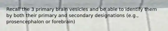 Recall the 3 primary brain vesicles and be able to identify them by both their primary and secondary designations (e.g., prosencephalon or forebrain)